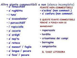 altre piante commestibili e non elenco incompleto