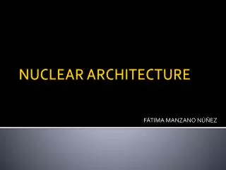 NUCLEAR ARCHITECTURE