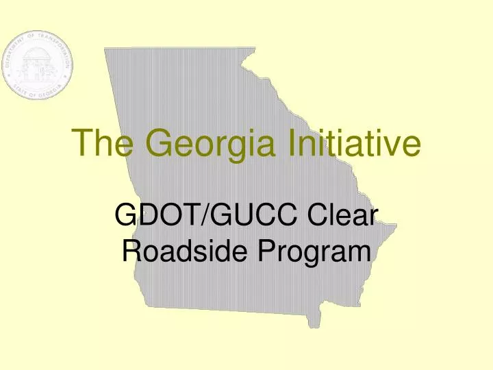 the georgia initiative