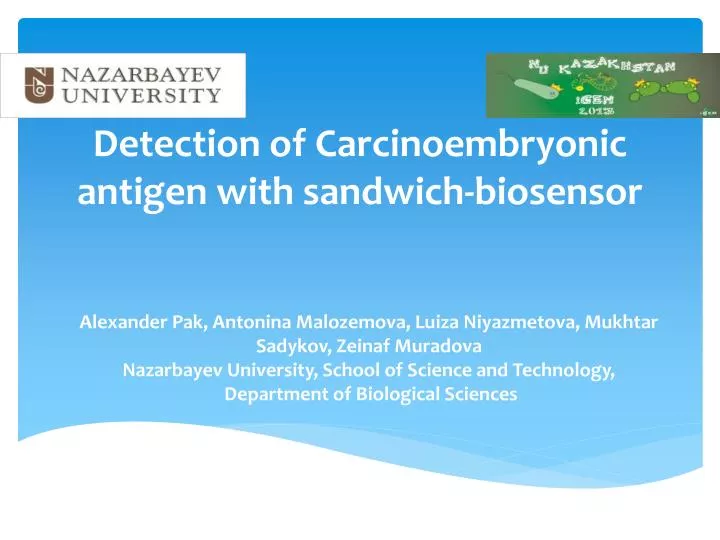 detection of carcinoembryonic antigen with sandwich biosensor