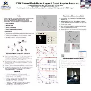 WiMAX-based Mesh Networking with Smart Adaptive Antennas