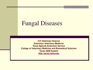 Fungal Diseases