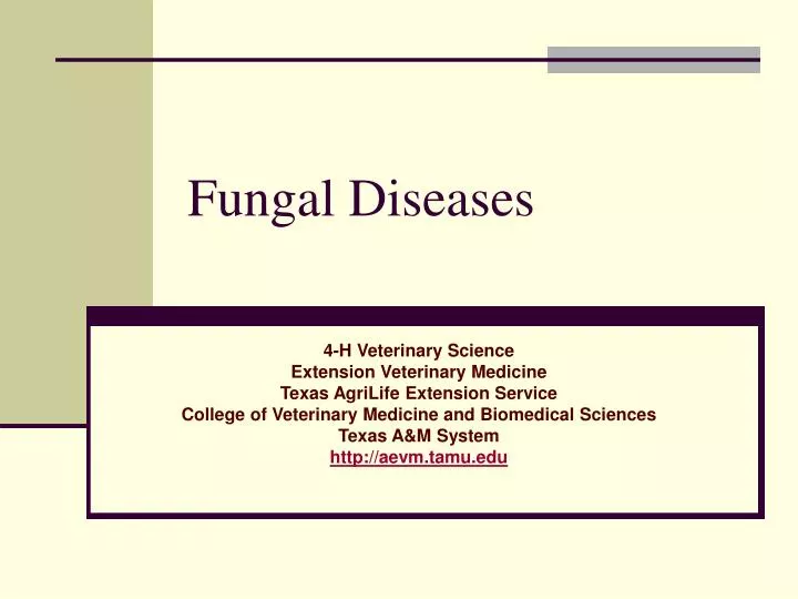 fungal diseases