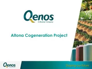 Altona Cogeneration Project