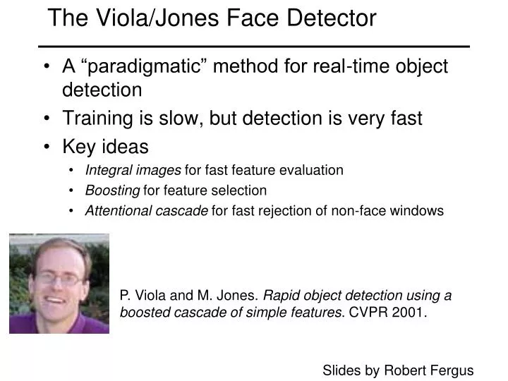 the viola jones face detector