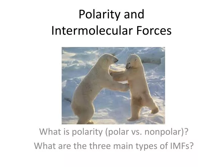 polarity and intermolecular forces