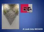 A Look Into NICADD - slide 1
