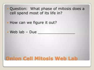 Onion Cell Mitosis Web Lab