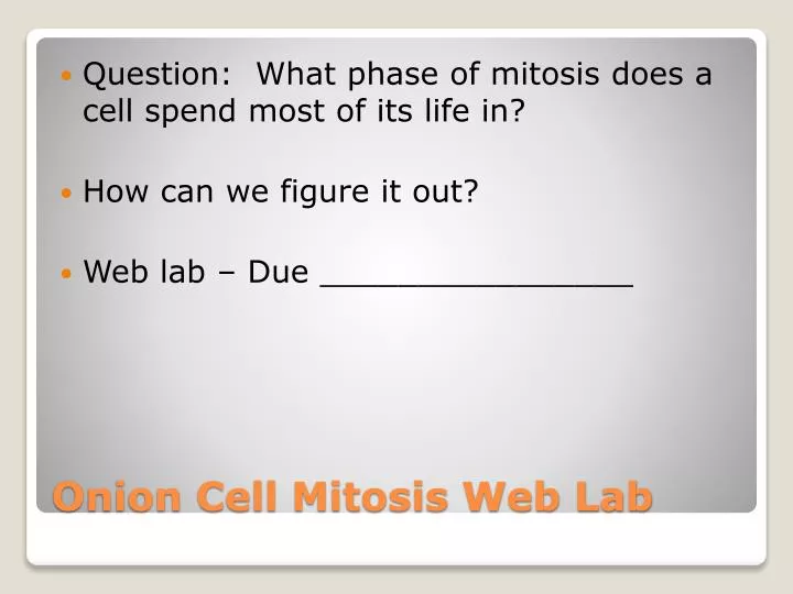 onion cell mitosis web lab