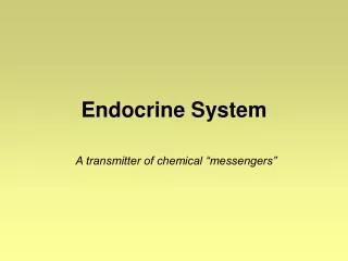 Endocrine System