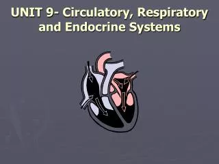 UNIT 9- Circulatory, Respiratory and Endocrine Systems