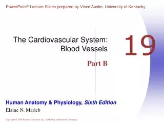 The Cardiovascular System: Blood Vessels Part B