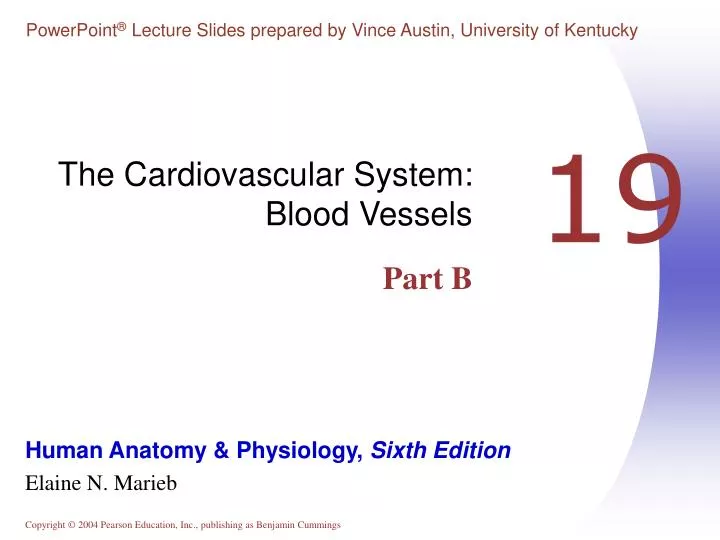 the cardiovascular system blood vessels part b