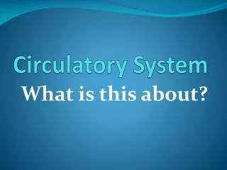 Circulatory System