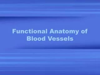 Functional Anatomy of Blood Vessels
