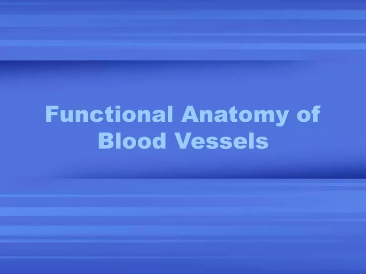 functional anatomy of blood vessels