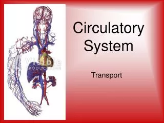 Circulatory System