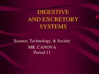 DIGESTIVE AND EXCRETORY SYSTEMS