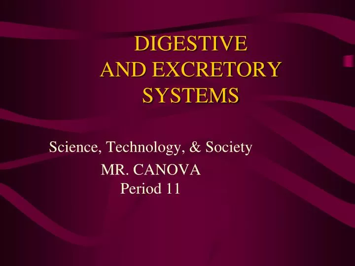 digestive and excretory systems