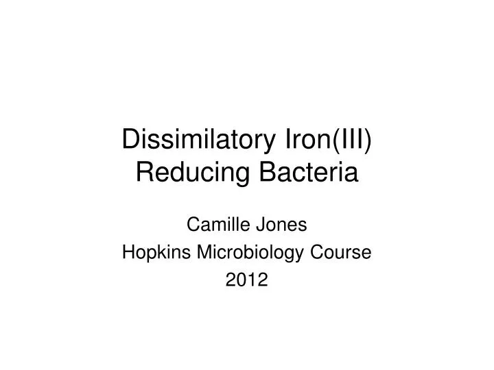 dissimilatory iron iii reducing bacteria