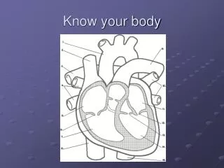 Know your body