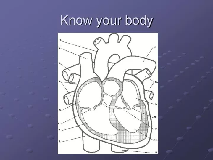 know your body