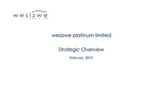 wesizwe platinum limited Strategic Overview