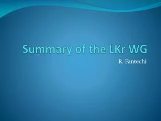 Summary of the LKr WG