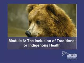 Module 6: The Inclusion of Traditional or Indigenous Health