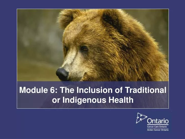 module 6 the inclusion of traditional or indigenous health
