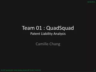 Team 01 : QuadSquad Patent Liability Analysis