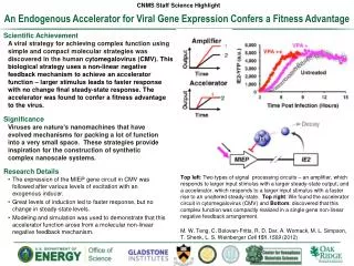 An Endogenous Accelerator for Viral Gene Expression Confers a Fitness Advantage