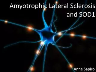 Amyotrophic Lateral Sclerosis and SOD1