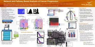 Network and Pathway Based Analysis of Cancer Progression