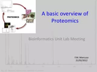 A basic overview of Proteomics