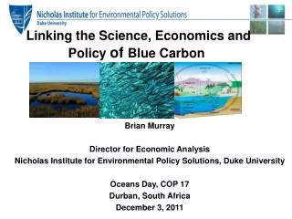 Linking the Science, Economics and Policy of Blue Carbon