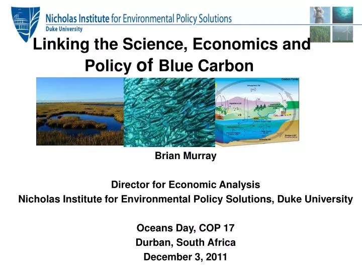 linking the science economics and policy of blue carbon