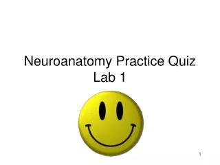 Neuroanatomy Practice Quiz Lab 1
