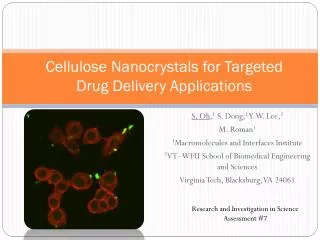 Cellulose Nanocrystals for Targeted Drug Delivery Applications