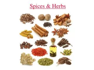 Spices &amp; Herbs