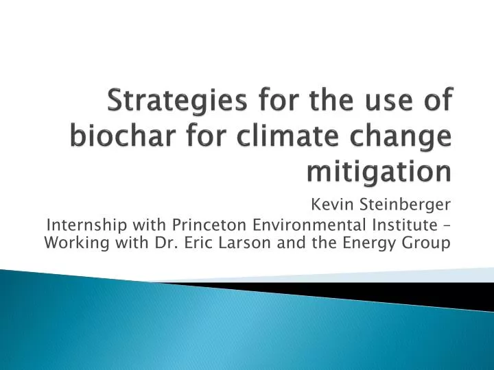 strategies for the use of biochar for climate change mitigation