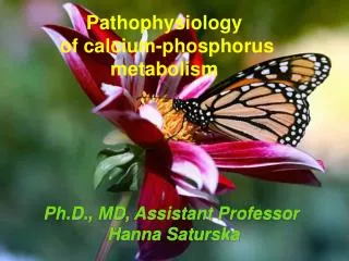 Pathophysiology of calcium-phosphorus metabolism