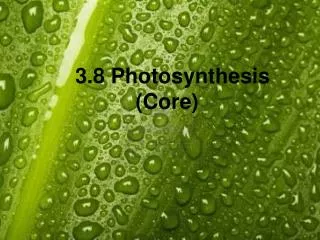 3.8 Photosynthesis (Core)