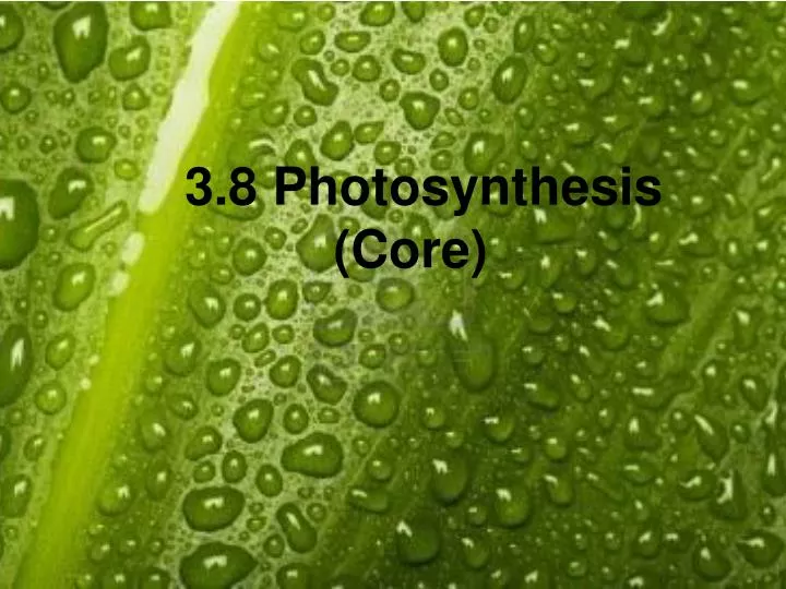 3 8 photosynthesis core