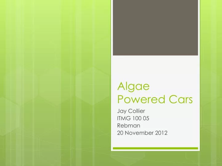 algae powered cars