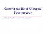 Gamma-ray Burst Afterglow Spectroscopy