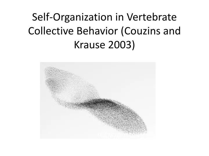 self organization in vertebrate collective behavior couzins and krause 2003