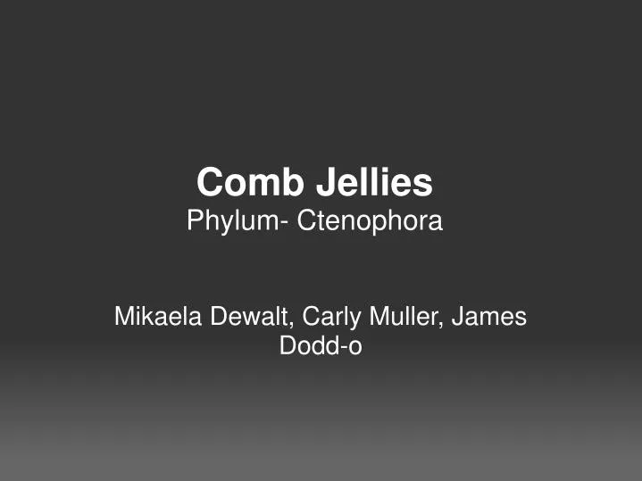 comb jellies phylum ctenophora