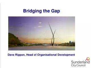 Dave Rippon, Head of Organisational Development