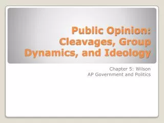 Public Opinion: Cleavages, Group Dynamics, and Ideology